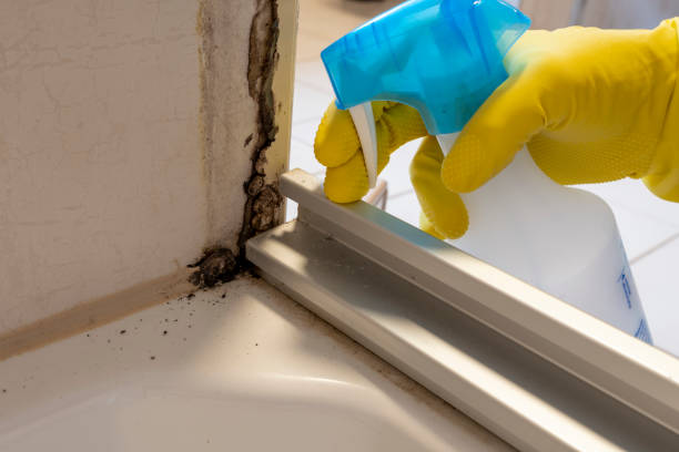 Best Industrial Mold Remediation in Youngsville, NC